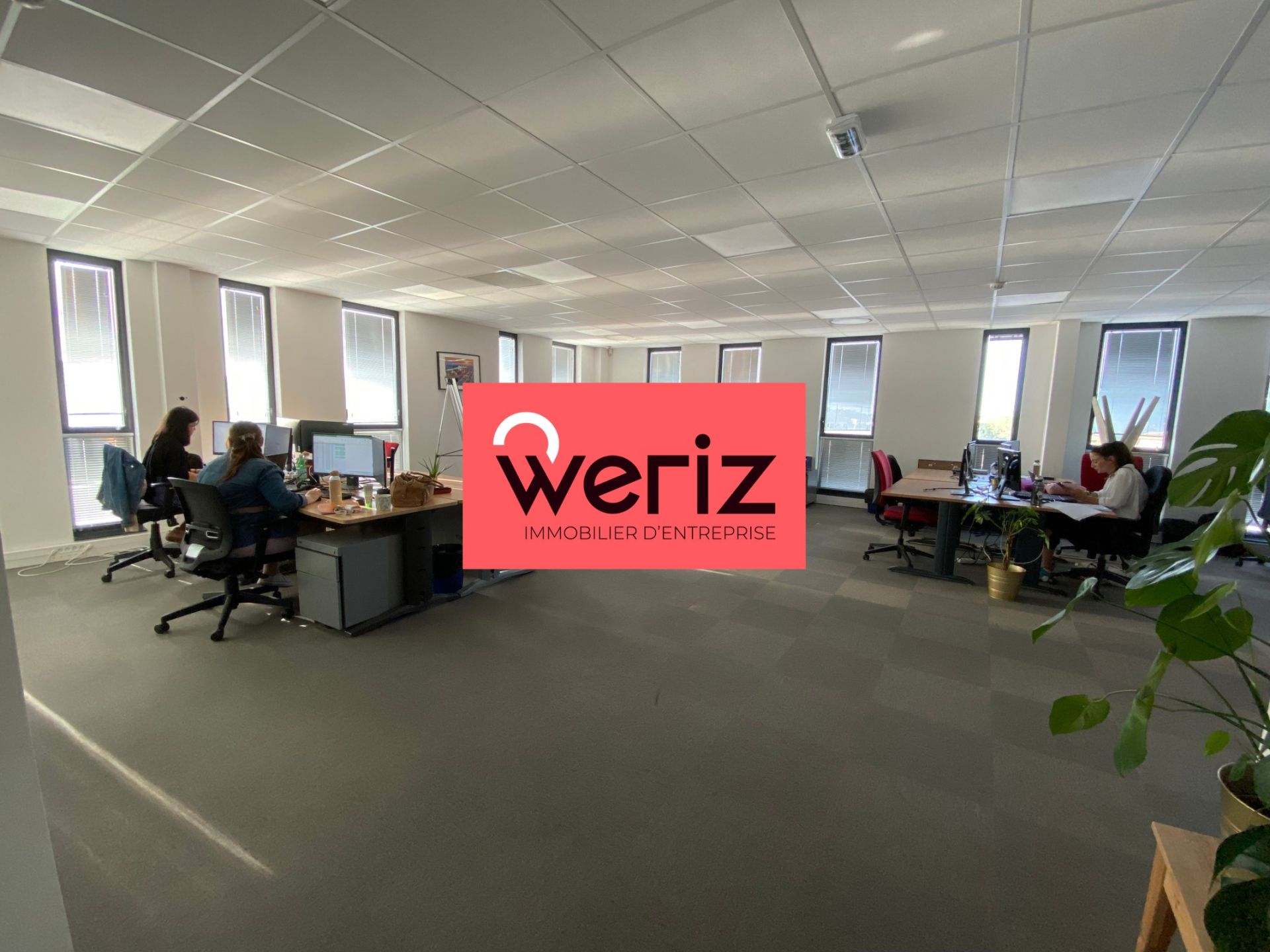 Location Bureaux Marseille 13 13013