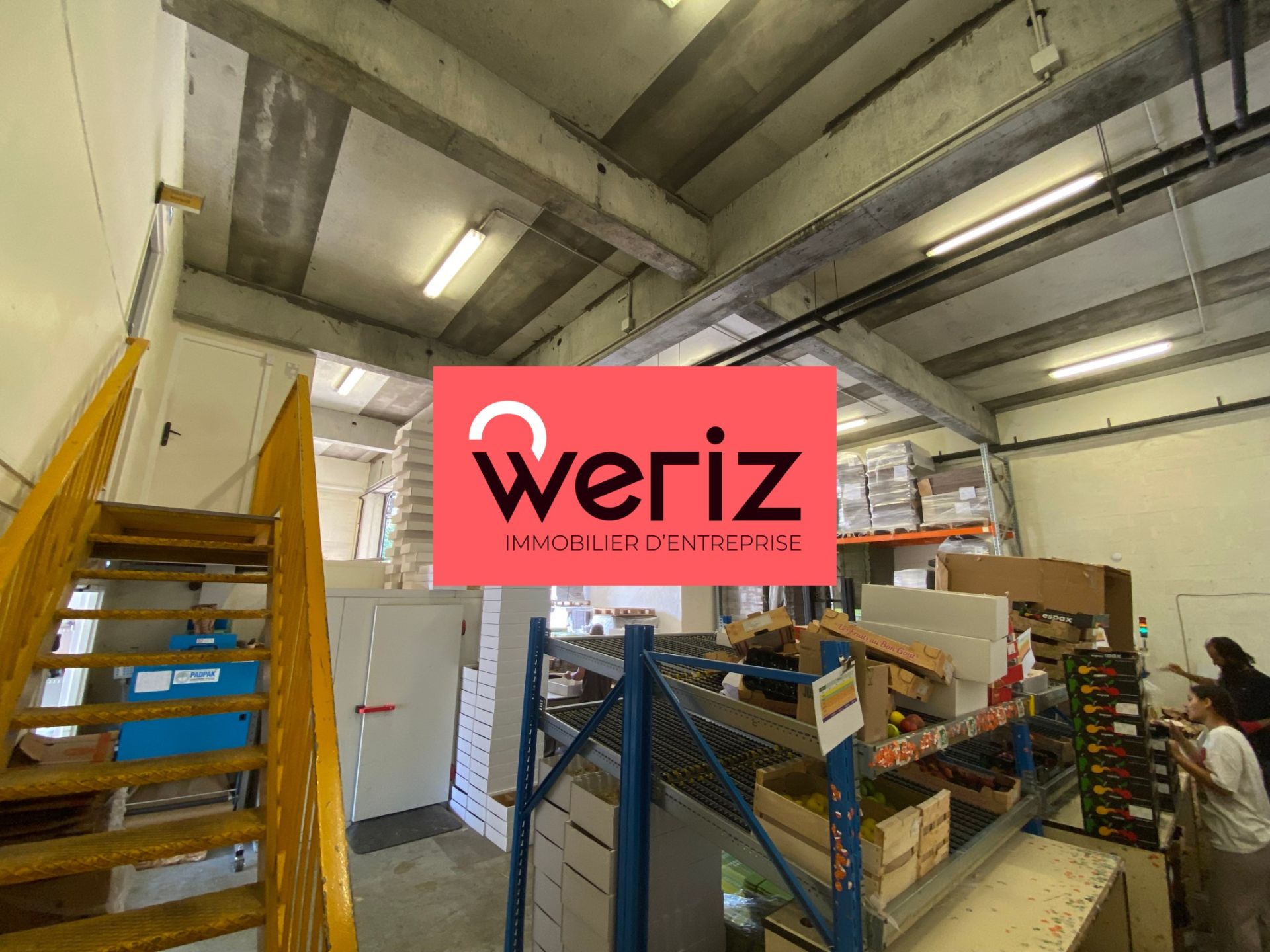 Location Entrepôt Marseille 11 13011