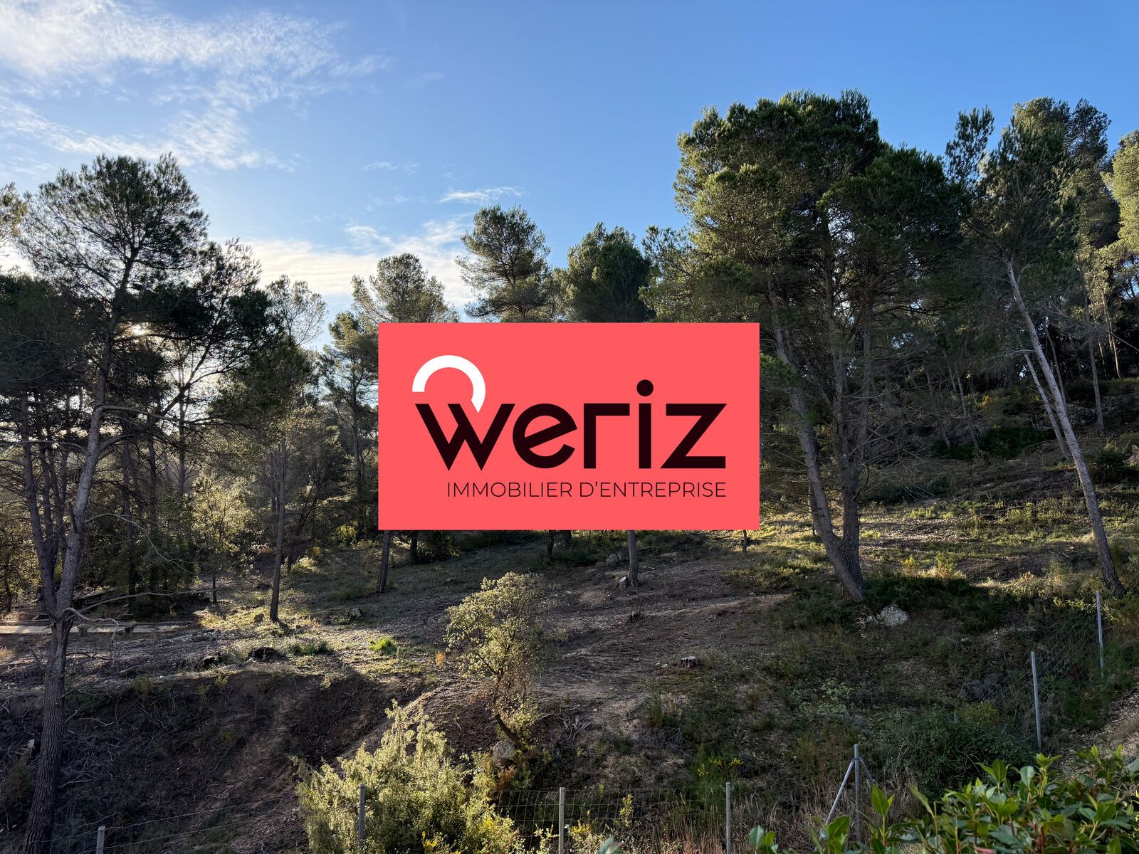 Location Bureaux Aix-en-Provence 13290