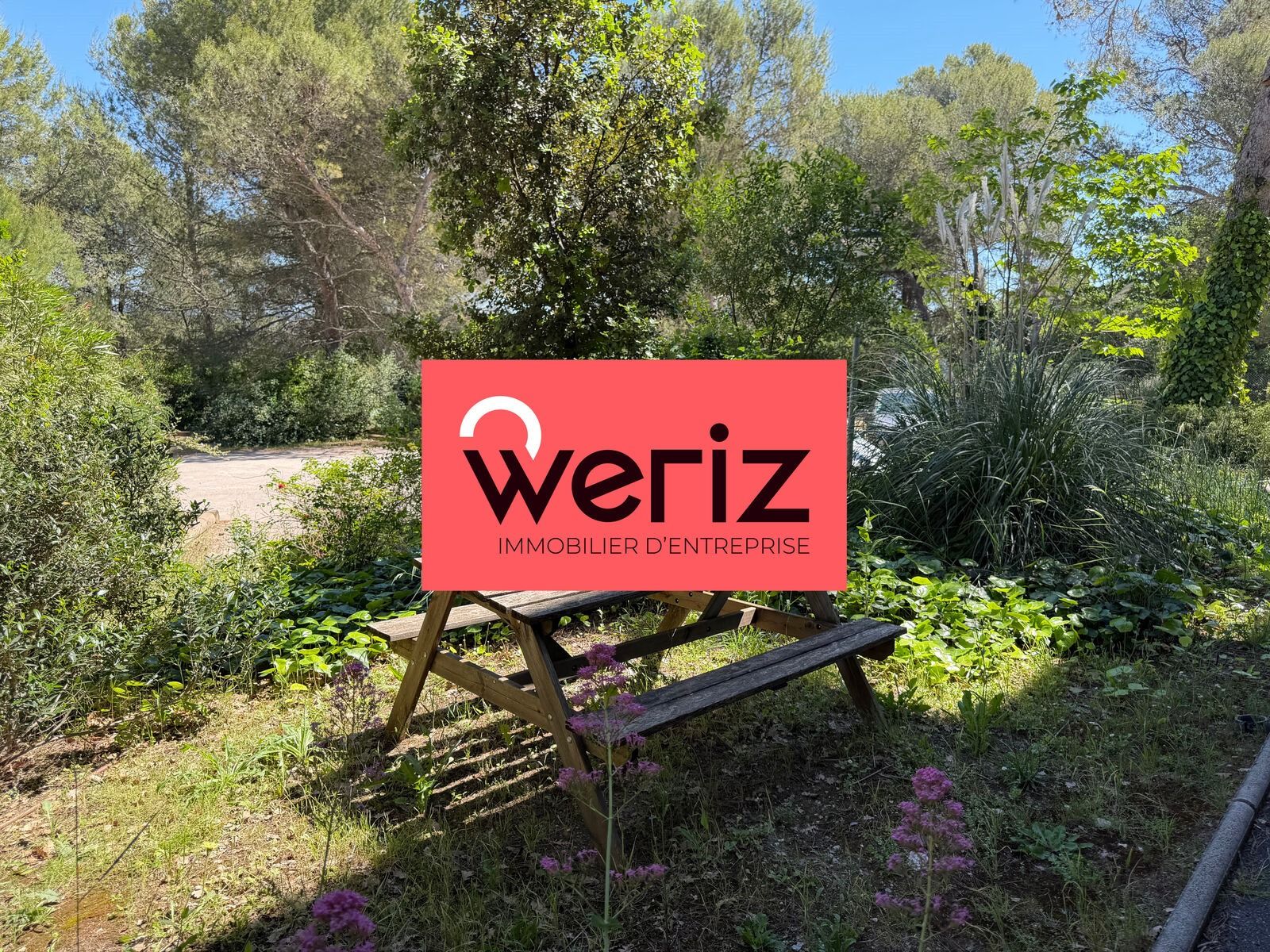 Vente Bureaux Aix-en-Provence 13100 Bureaux Pays d'Aix